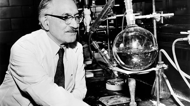 Waksman bu araştırmayı Fleming'in buluşuna karşı olan hayranlıkla yapmıştı.