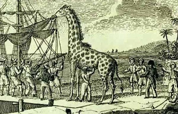 9. 1826'da Mısır'ın Osmanlı Valisi'nden X.Charles'a, Fransızları Sultan'a karşı ayaklanan Yunanlıları desteklemeyi bırakmaya ikna etmek için Zarafa isimli bir zürafa hediye edildi.
