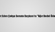 Çin, Tayvan'ı Ziyaret Eden Çekya Senato Başkanı'nı "Ağır Bedel Ödetmekle" Tehdit Etti