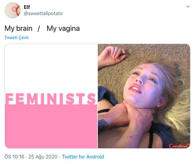 Twitter'dan Elf, bu iki görseli yan yana koyarak beyninin feminizmi savunduğunu ancak vajinasının onu BDSM'ye yönlendirdiğini söyledi.