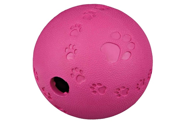 9. İçerisine mama koyarak köpeğinizi uzun süre meşgul edebilirsiniz.