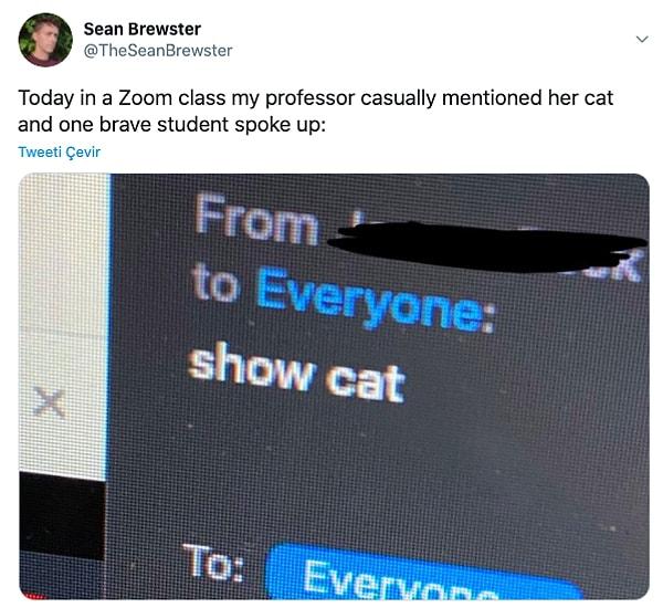 12. "Bugün Zoom sınıfında hocamız kedisinden bahsetti ve cesur bir öğrenci konuştu:"