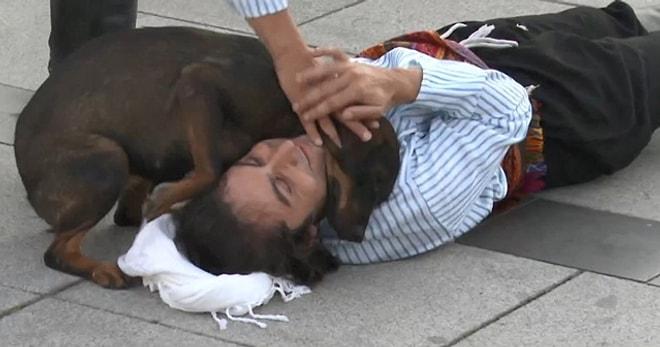 30 Ağustos Kutlamalarında Yere Yatıp Yaralı Rolü Yapan Adamın Boynuna Sarılarak Yardım Etmeye Çalışan Köpek