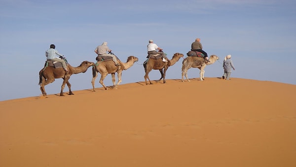 В 2013 году верблюд, подаренный Франции для освобождения Мали, был убит и запечен в тандыре, когда его передали на попечение семье в Тимбукту.