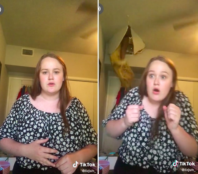 TikTok'ta viral olan bir video ile karşınızdayız. Sizleri Liz San Millan ile tanıştıralım.
