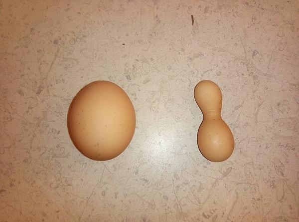 8. Tuhaf biçimli yumurta: