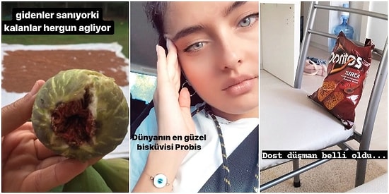 Yiyeceklerle İlgili Yaptıkları Paylaşımlarda Yazdıklarıyla "Ne Alakası Var Şimdi?" Diye Düşündüren 16 Sosyal Medya Kullanıcısı