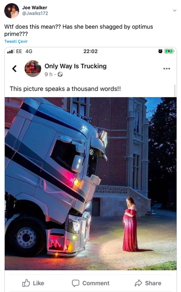 10. "Bu ne demek? Kadın Optimus Prime ile birlikte mi olmuş?"