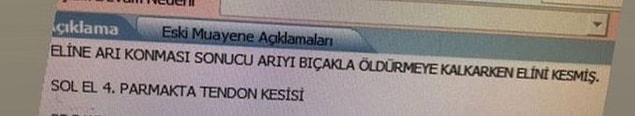 3. Ah be abim bıraksaydın uçup gitseydi ya hayvan...
