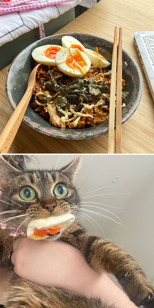 1. Похититель яиц