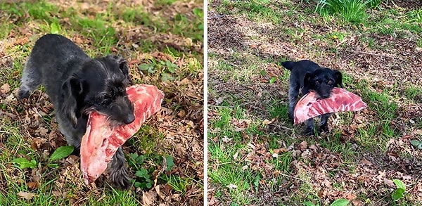 5. Просто хочу извиниться перед любым из наших соседей, у которых только что украли целую стойку ребер