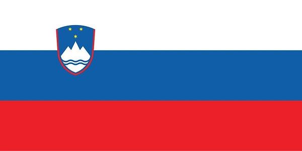 2. Slovenya - %19,1