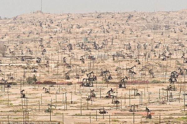 15. California'da hektarlarca alanı hayatsız bırakan petrol işletmesi.