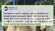 Çocukluk Arkadaşının Mezarının Başında Ağlarken Karşılaştığı Köpeği Arkadaşı Bilen Kişinin Hikayesi Sizi Çok Duygulandıracak...