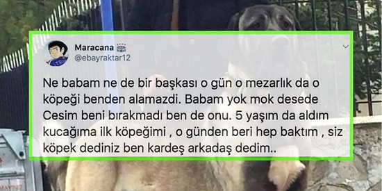 Çocukluk Arkadaşının Mezarının Başında Ağlarken Karşılaştığı Köpeği Arkadaşı Bilen Kişinin Hikayesi Sizi Çok Duygulandıracak...