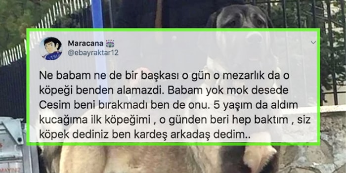 Çocukluk Arkadaşının Mezarının Başında Ağlarken Karşılaştığı Köpeği Arkadaşı Bilen Kişinin Hikayesi Sizi Çok Duygulandıracak...