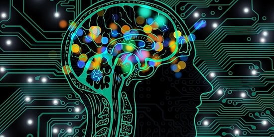 Senin IQ’nu Düşüren Şey Ne?