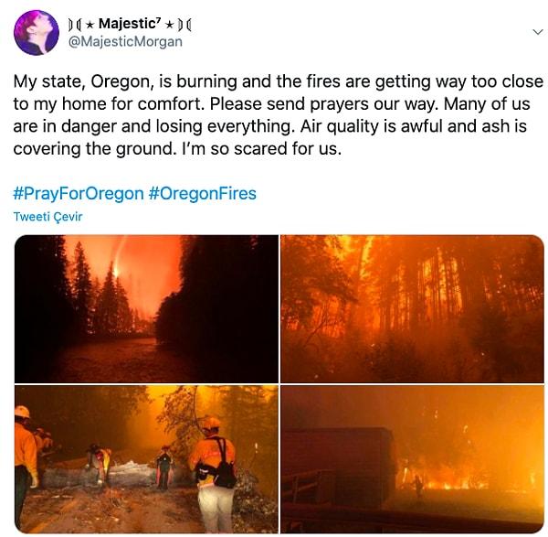 14. "Oregon yanıyor ve yangınlar evime kadar yaklaştı. Lütfen dualarınızı gönderin. Birçoğumuz tehlikede ve her şeyini kaybediyor. Hava kalitesi çok kötü, her yerde küller var. Bizim için çok korkuyorum."