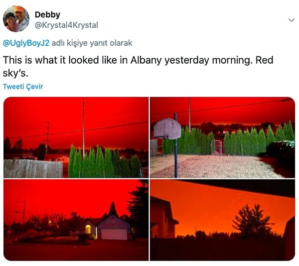 20. "Dün sabah Albany böyle gözüküyordu."