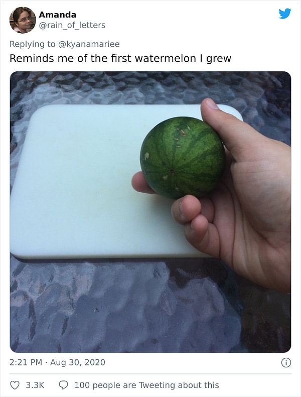 8. Мой первый арбуз