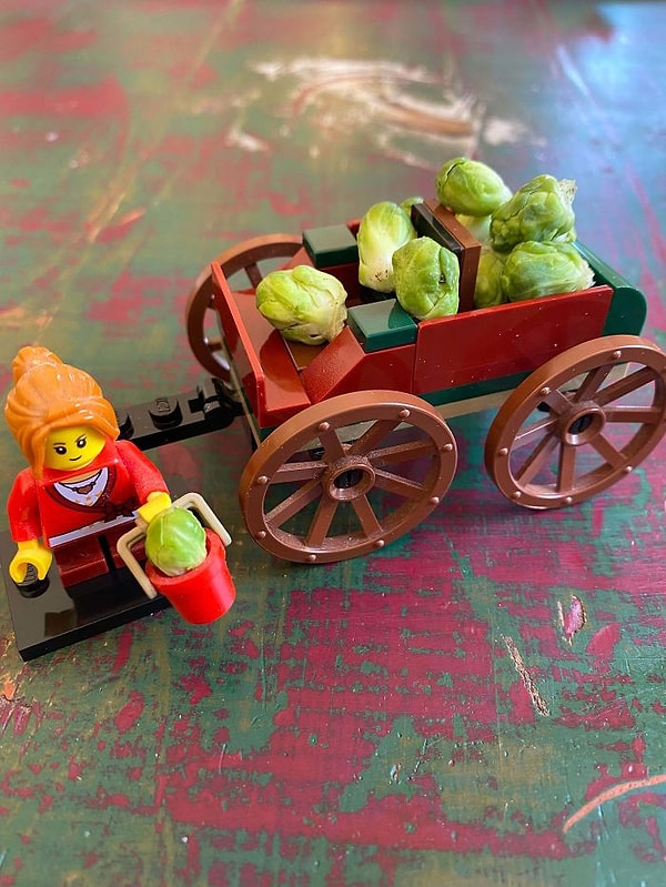 10. Пришлось заказать фургон, чтобы вытащить этот урожай