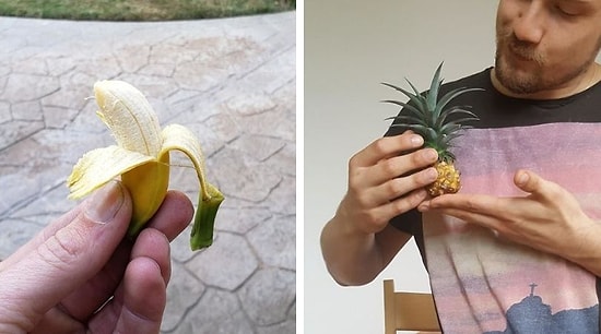 19 смехотворных случаев с неудачным урожаем