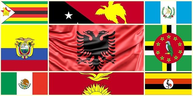 Birbirinden farklı birçok kuşu bayraklarına taşıyan 9 ülke bayrağını anlatmaya çalıştım.