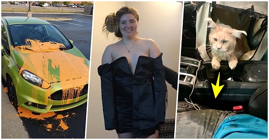 Çöle Düşse Kutup Ayılarıyla Karşılaşıp Birtakım Tatsız Olaylar Yaşayabilecek 17 Bahtsız Kişi