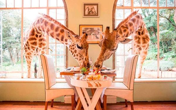 3. Giraffe Manor, Kenya