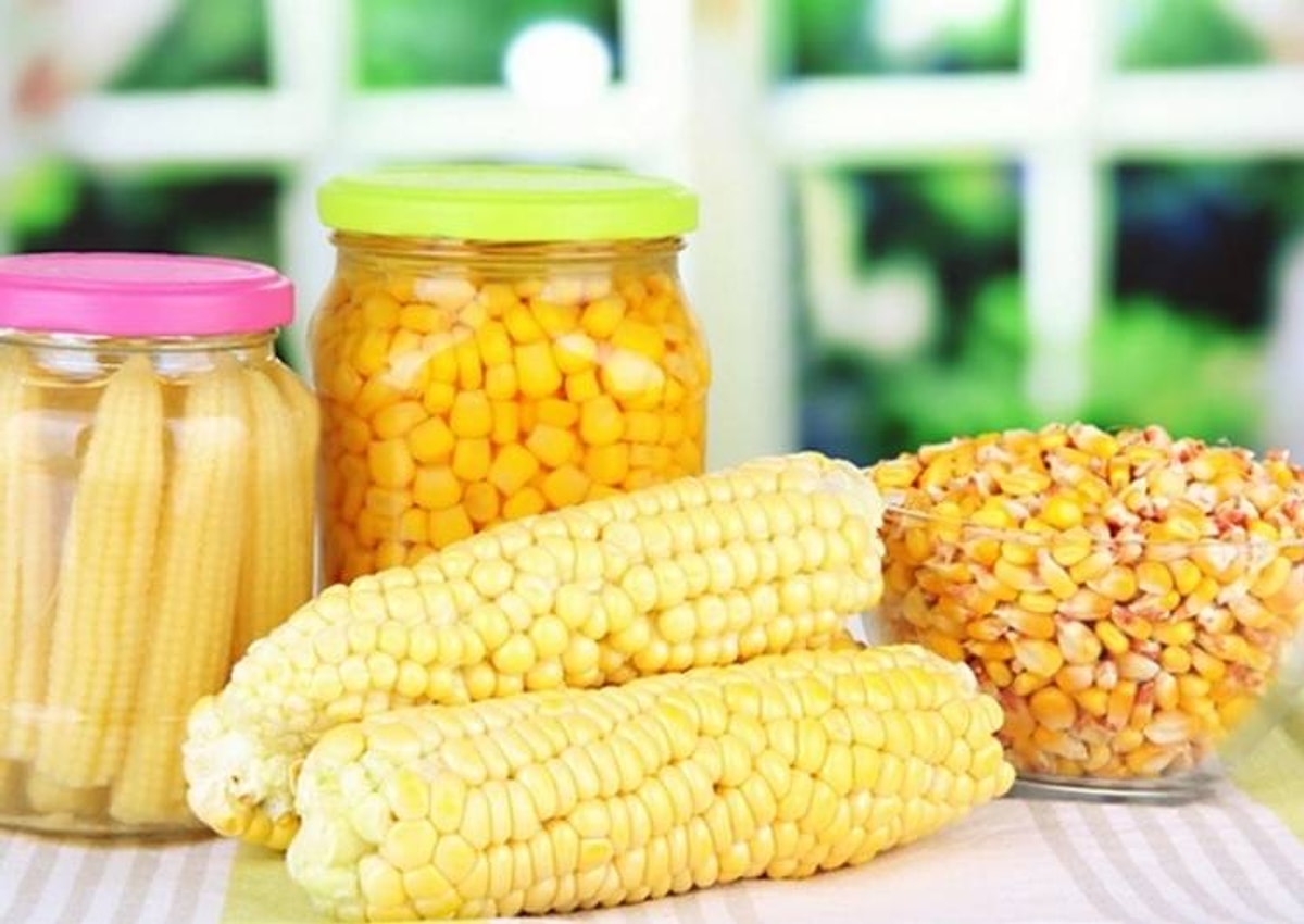 Как хранить молодую кукурузу. Как хранить молодую кукурузу