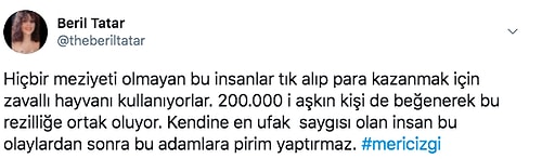 Hayvan Kaçakçılığını Alışkanlık Haline Getiren Sosyal Medya Fenomeni Meriç İzgi 3. Maymunu da Satın Alınca Ortalık Karıştı!