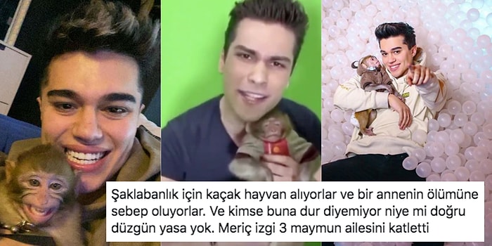 Hayvan Kaçakçılığını Alışkanlık Haline Getiren Sosyal Medya Fenomeni Meriç İzgi 3. Maymunu da Satın Alınca Ortalık Karıştı!