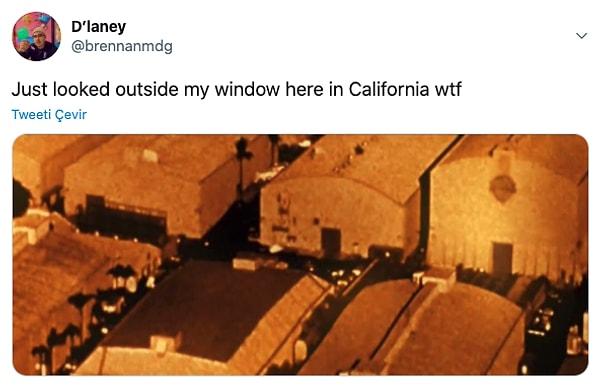14. "California'da camımdan dışarı baktım"