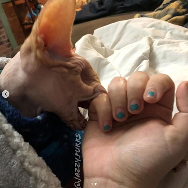 👇
