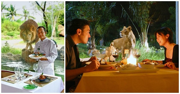 12. Tsavo Lion Restaurant, Индонезия