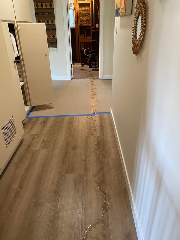 «Моя собака ходила из одного конца дома в другой и писала».