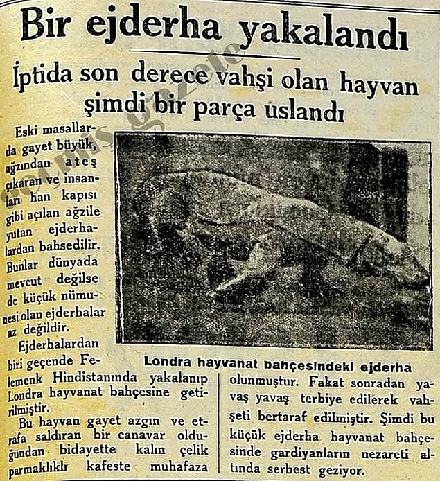 Okulda ilk öğrendiğimiz bilgilerden biri dilin yaşayan bir organ olduğu.