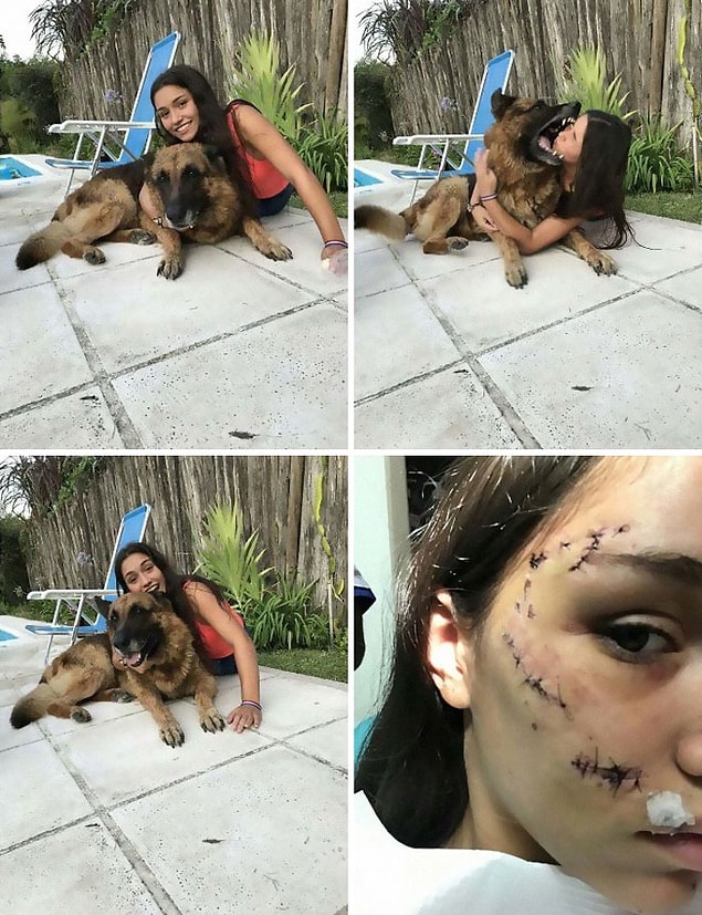8. "Alt tarafı birazcık köpek sevmek istemiştim."