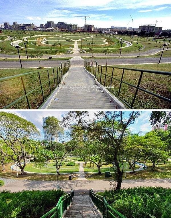 7. "Bishan Parkı'nın 30 yıllık değişimi (1988 / 2020)"