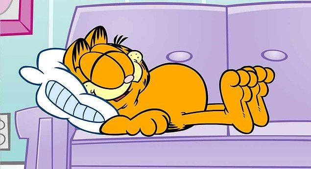 27. Garfield, 7 dilde yayınlanmıştır.