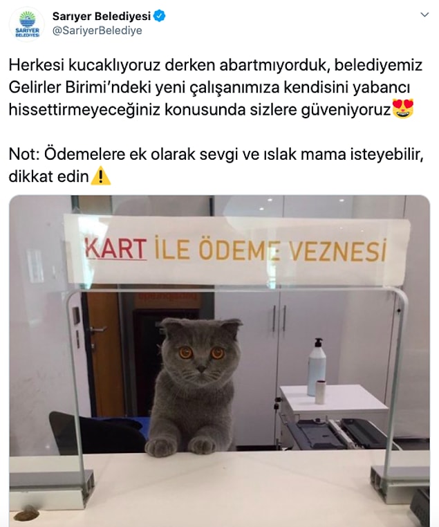 13.