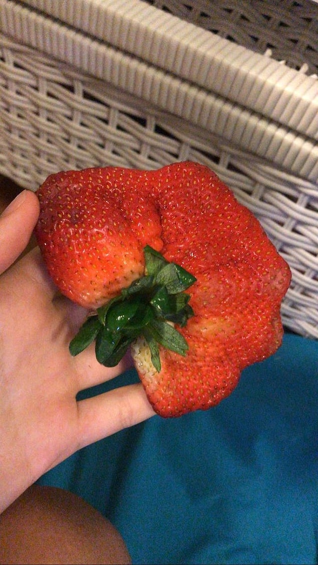 11. 👇