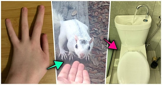 Hep Aynı Şeyleri Görmekten Sıkılanları İlginçliğe Doyuracak Birbirinden Acayip 17 Yeni Görsel