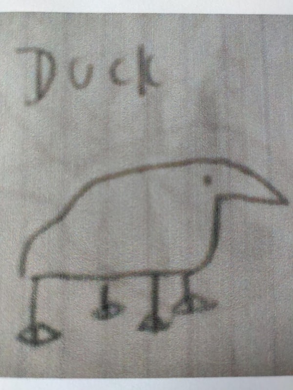 16. «После похода в зоопарк, будучи маленьким, я решил нарисовать утку»