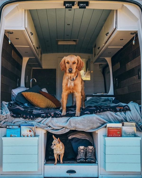 Сидни так живет уже 2.5 года и успела познать все минусы такой "кочевой" жизни