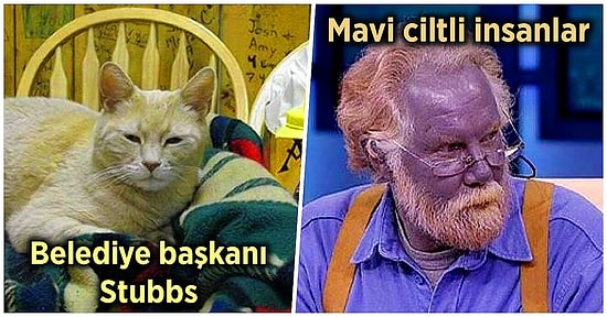 Acayip Bilgiler Kuşağı: En Boş Ortamda Bile Muhabbet Açmanıza Neden Olacak 15 İlginç Gerçek