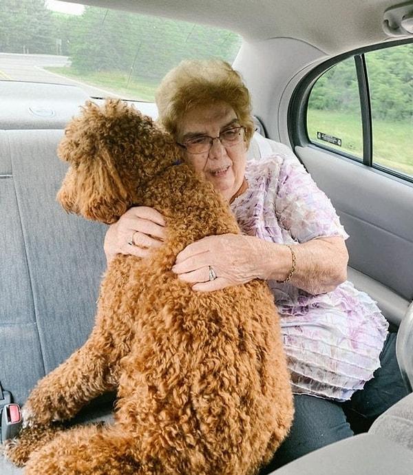 6. "Anneannem, köpeğim arabayla seyahat ederken gerildiği için arka koltukta oturmak istedi ve yolculuk boyunca onu sakinleştirdi."