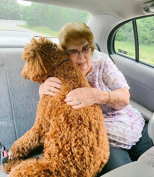 6. "Anneannem, köpeğim arabayla seyahat ederken gerildiği için arka koltukta oturmak istedi ve yolculuk boyunca onu sakinleştirdi."