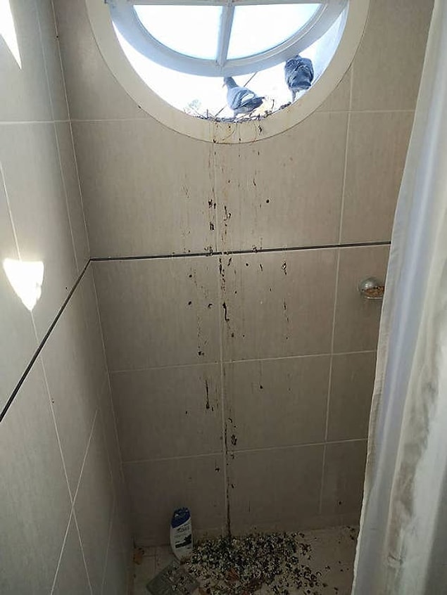 13. İyi tarafından bakacak olursak en azından banyoya yapmışlar. 😂