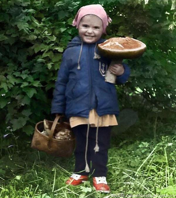 19. Я собираю грибы в Беларуси в 1987 году, через год после аварии на Чернобыльской АЭС